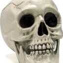 JOYIN Skeleton Halloween Decorations, Life Size Human Skull Model Indoor Outdoor Decorations for Trick-or-Treaters, Realistic Plastic Human Head Bone Tabletop Home Decor (6 x 5.5 x 7.5 Inches)