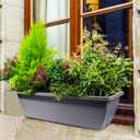 Flower Plants Holder, 24 Inches Length x 6.5 Inches Down, 2 Pieces