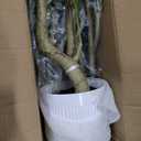 Olive Tree Olive 7 feet, Artificial Olive Tree with White Pot, Fake Tree with 1882 Dense Leaves & 96 High-Simulated Olive Fruits - Easy Assembly, Low Maintenance (Olive Tree 7ft)