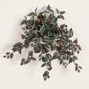 Nearly Natural 24in. UV Resistant Artificial Wandering Jew Hanging Plant (Indoor/Outdoor)- Set of 3