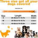 3 x LED Dog Collar, Light Up Dog Collar, Lighted Dog Collars Adjustable for Night Walking, Glow in The Dark Dog Collars Light with USB Rechargeable Color Changing Waterproof for Dogs (Orange, Small)