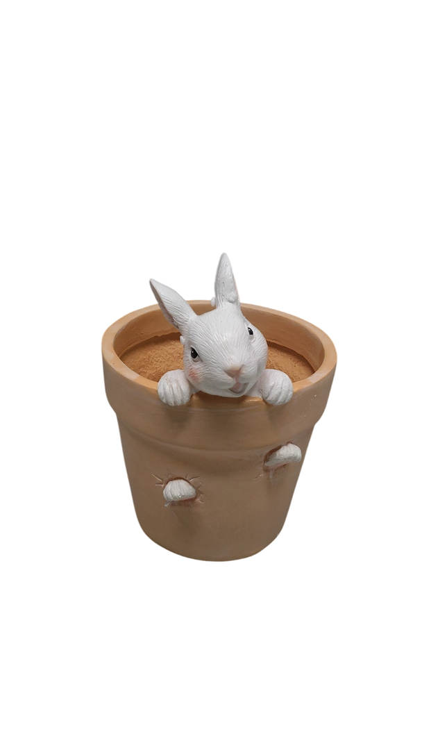Easter - Spring Flower Pot - Bunny Decor - Easter Decoration - Decorative Garden Pots for Cactus Succulents Planter with Drainage Hole for Home Farmhouse Decor 5.75 x 5 x 7.25 inch Newman House Studio