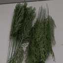 Hananona Artificial Pine Branches,40 Pcs Christmas Faux Cedar Stems, Artificial Faux Cedar Branches, Fake Christmas Greenery Pine Picks for Wreath Craft DIY Home Kitchen Decorations (40, Green)