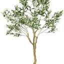 Amazon.com: Nafresh Tall Faux Olive Tree7ft84in Realistic Potted Silk Artificial Indoor with Green Leaves and Big Fruits for Home Office Living Room Bedroom Stairs Foyer Decor. : Home & Kitchen