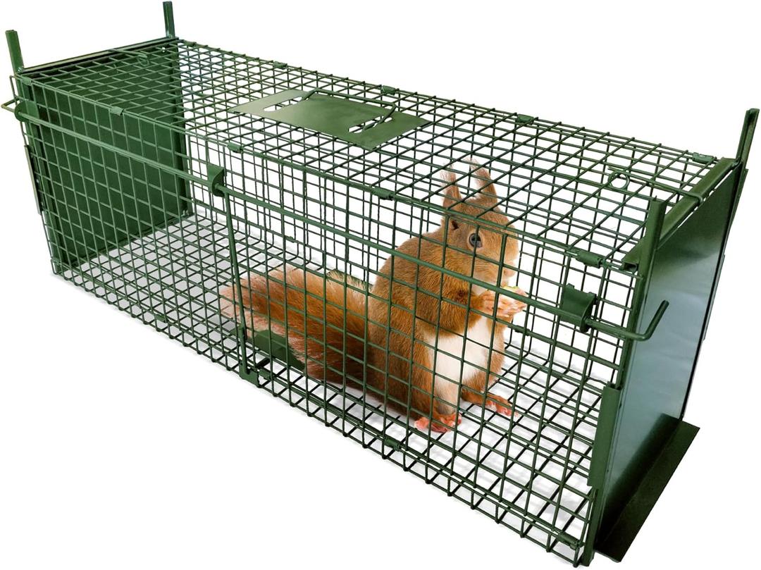 ARIFARO Animal Cage Trap (31" L x 10" W x 11" H) Humane Live Cage Trap Double-Door Metal Capture Cage for Skunks,Raccoons,Rabbits,Stray Cats,Squirrels,Moles,Gophers