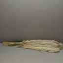 Bannifll 40" inch 20 Stems Natural Pampas Grass Decor Tall, pompas Grass, Tall Pampas Grass for Wedding, Party, Farmhouse, Boho Home Decor