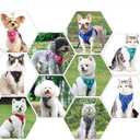 Puppy Harness,Cat Harness and Lead Set,No Pull Dog Cat Harness,Soft Mesh Breathable Reflective Puppy Cat Dog Vest Harnesses for Small Dogs Cats (Grey, Small)