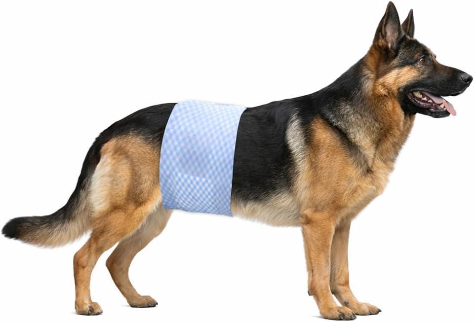 Disposable Male Dog Diaper Wraps for Waist 2331 in, Leakproof, Super Absorbent, Adjustable Fit, Wetness Indicator, XL, 22 Count