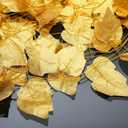 24 Pcs Artificial Golden Leaf Garland Toga Party Leis Decoration 7.87ft DIY Gold Leaf Roman Greek Goddess Costume Accessories Gold Leaves Ribbon for Toga Party Halloween Christmas Wedding