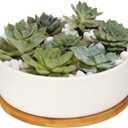 LANKER 6.3 Inch Round White Ceramic Succulent Planter Pot Decorative Cactus Plant Pot Flower Container with Bamboo Tray (Round 6.3Inch)
