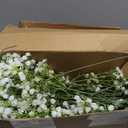 120Pcs Babys Breath Artificial Flowers Bulk, White Real Touch Faux Baby Breath Flowers Artificial, Fake Gypsophila for Vase Wedding Bouquet Arrangements Party Garden Home Decor