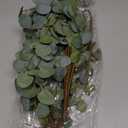 6 Pcs 27" Eucalyptus Stems Greenery Stems Eucalyptus Leaf Spray in Green Silk Plastic Plants Floral Artificial Plants for Home Party Wedding Decoration