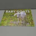 Baby Goat Calendar 2026 Monthly Wall Calender 12 Month | American Made In The USA