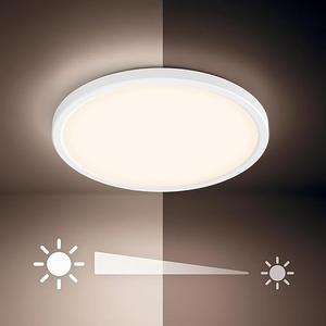 PHILIPS LED Flush Mount Ultra Thin Silver Ceiling Light  Bright White (3000K) 1500 Lumen (22W = 100W) No Bulbs Required