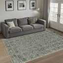 PureCozy Area Rug 5x7 Gray Living Room Washable Vintage Carpet Non Slip Indoor Retro Traditional Grey Accent Throw Large Rug for Office Kitchen Bedroom Dining Room