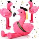 HyDren 2 Pack Graduation Stuffed Flamingo Animal Class of 2025 Plush Flamingo, 10 Inch Stuffed Animal with Graduation Cap and Diploma for Kindergarten High School College Students Gifts
