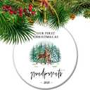 First Christmas as Grandparents  New Grandparent Keepsake Ornament, Heartfelt for Grandma & Grandpa, Established 2025 Family Tree Decor (S7)