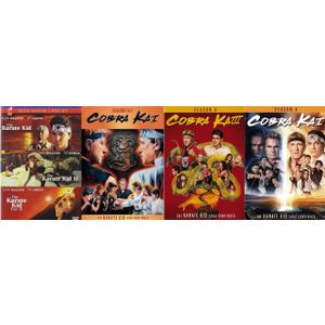 Cobra Kai - Season 1 2 3 & 4 / The Karate Kid : 3-Movie Collection [Martial Arts DVD 4-Pack], Format: DVD