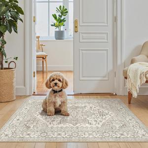 Madane Washable Area Rug 2x3, Small Entryway Rug Non-Slip Vintage Door Mat Indoor Entrance, Low Pile Floor Carpet for Inside Front Door Bedroom Kitchen Entry Laundry (2'x3', Beige/Brown)
