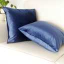 Artcest Set of 2, Cozy Solid Velvet Throw Pillow Case, Decorative Couch Cushion Cover, Soft Sofa Euro Sham with Zipper Hidden, 16"x16" (Royal Blue)