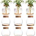 Plant Propagation Station,Hydroponic Glass Container Vase Jars, with Wooden Saucer for Desks, Houses, Garden Decorations, Home Kitchen Decorations and Gifts for Plant Lovers (9)