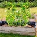 Pack 2 Heavy Metal Garden Trellis for Climbing Plants with Trellis Netting & Garden Clips, A-Frame Cucumber Trellis for Raised Bed