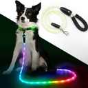 YFbrite 5FT Light up Dog Leash with 15 Flashing Modes - Super Bright LED Dog Leash for Small Medium Large Dogs - Type-c Rechargeable Dogs Leashes Light (Multi-Color, 5FT (150cm))