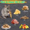 4 Pcs Humane Mouse Traps No Kill, Live Mouse Trap, Reusable Mice Trap Catch for House & Outdoors