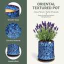 8 Inch Ceramic Planter Pot with Saucer Drainage Leak-Proof Mesh,Flower Pots for Lavender with Gardening Gloves,Ceramic Planter for Orchid(Peacock-Blue)