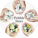 FANTIAN 5 lbs White Pebbles for Indoor Plants, 0.5-1 Inch Pea Gravel Stones for Planters, Decorative River Rocks for Succulent, Cactus, Vases, Aquariums, Crafting and Garden Landscaping