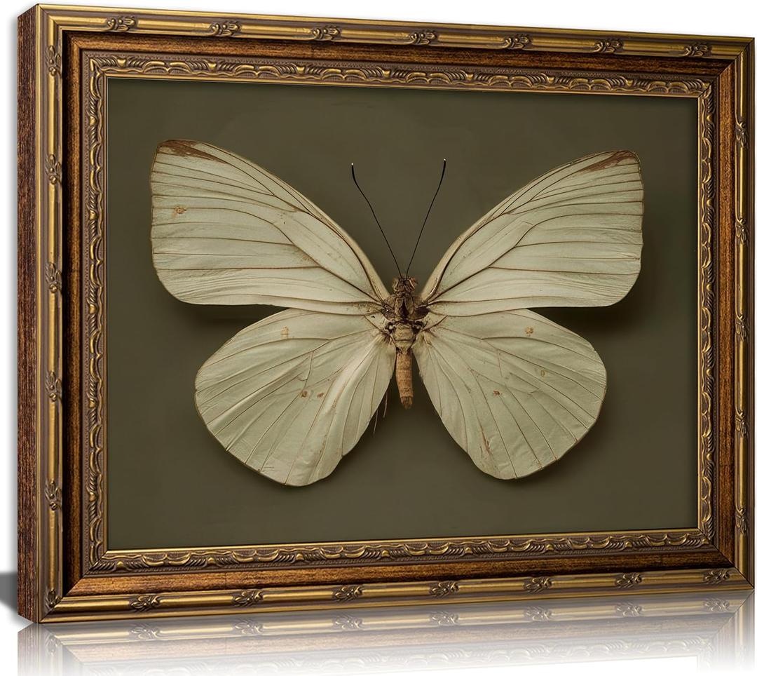 Vintage Gold Framed Butterfly Canvas Wall Art Sage Green Moth Painting Picture Wall Decor Retro Insect Poster Print Artwork for Living Room Bedroom Farmhouse Office Home Decoration, 24"L x 16"W