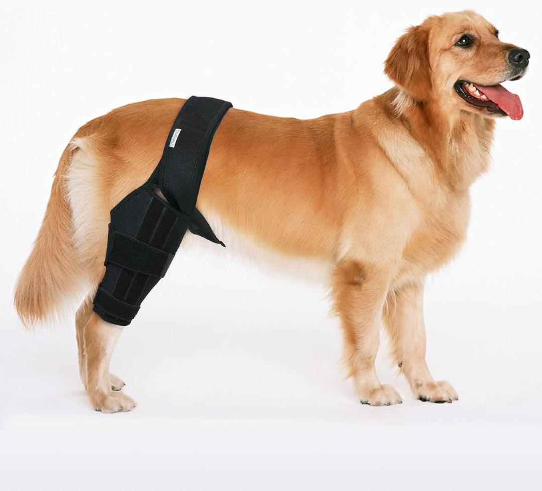 Dog Knee Brace for Torn ACL & Hind Leg Support – Adjustable Dog Hip & Leg Brace for Cruciate Ligament, Arthritis Relief, Joint Stability & Injury Recovery, Color: Black, Size: M