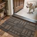 Color&Geometry Front Door Mat Non-Slip, Low-File, Easy to Clean, Sturdy Doormat, Entryway Rug for Hallway, Entrance, Porch Floor, 24"x36", Brown (Rolled-up NO Creases)