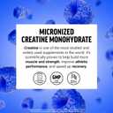 Force Factor Creatine Monohydrate Powder, 5g Dose, Micronized (EXP 03/20/27)