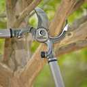 Corona Tools | 32-inch Branch Cutter DualCUT Bypass Loppers | Tree Trimmer Cuts Branches up to 2-inches in Diameter | SL 7180