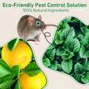 Pest Rodent Repellent, 24 Pack Peppermint Oil Repellent for Mouse Rats Spider Roach Ant Squirrel Pest Control Indoor & Outdoor, Natural Mice Deterrent Replace Trap Poisoning Family & Pet Safe Green