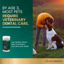 VetriScience Dental Care Powder for Dogs and Cats, 4.2 oz