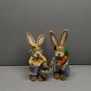 DR.DUDU Set of 2 Easter Decorations 13" Bunny Figurines Tabletop Spring Decor, Rustic Straw Bunny Couple with Carrot, Sisal Rabbit Statues Ornaments for Table Home Office Kitchen Farmhouse