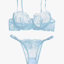 Lilosy Sexy Floral Embroidered Mesh Women Underwire Push Up Lingerie Set Small