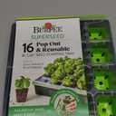 Burpee SuperSeed Seed Starting Tray | 16 XL Cell | Reusable & Dishwasher Safe | for Starting Vegetable Seeds, Flower Seeds & Herb Seeds | Indoor Grow Kit for Deep-Rooted Seedlings, Green