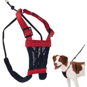 Sporn No Pull Dog Harness, Durable Nylon Mesh Harness for Medium Dogs, No Choke Design, Padded Restraint Sleeves, Adjustable Fit, Easy On/Off, Ideal for Medium Breeds, Red