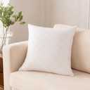 Oubonun 18x18 Inches Pack of 2 Throw Pillows Inserts, White Square Cushion Inner Soft Fluffy Plump Stuffer Pillows Inserts for Sofa Bed Couch