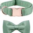 Lionet Paws Bowtie Dog Collar - Comfortable Silk Green Dog Collar with Detachable Bow Tie for Medium Dogs, Neck 13.5-22 Inches, M