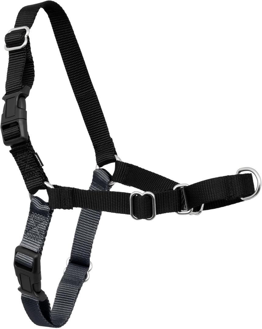 PetSafe Easy Walk Harness for Dogs - Pull-Free Walks - Patented Martingale Loop Design - Front Chest Leash Attachment - Comfort Straps - Breathable Harness Design - Large, Charcoal/Black