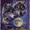 Dawhud Direct Celestial Wolf Fleece Blanket - 50 x 60-Inch Soft Plush Throw Wolf for Bed, Sofa, or Outdoor Use - Cozy Animal Print Blanket and Thoughtful Gifts for Women, Men, and Kids (75" x 90", Wolf Moon Call)