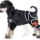 Dog Knee Brace for Acl Injury Recovery Adjustable Support for Joint Pain and Mobility, Suitable for Front or Rear Legs Helps Stabilize Ligaments and Improve Daily Activity, Small