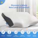 Derila Memory Foam Pillows (1 Pillows, Standard (19.7" x 11.8" x 3.9"))