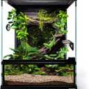 Mini Reptile Glass Terrarium Tank 8"*8"*10" Full View with Front Opening Door,Amphibians Enclosure Habitat Cage for Leopard Gecko Tarantula Young Lizard Hermit Crab Frog Insects Breeding
