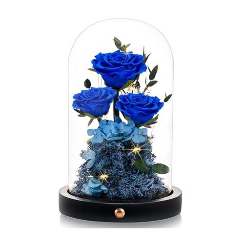 DENIMOMO Valentines Day Flowers Roses Gifts for Women Her,Forever Preserved Rose in Glass Dome, Valentines Anniversary Birthday Real Roses Gifts for Wife Women Girlfriend Best Friend/Blue