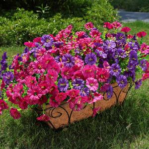 Artificial Faux Outdoor Flowers Plants for Spring Outside Decoration, 12 Bundles Silk Morning Glory UV Resistant Look Real Fake Flowers for Planter Front Door Porch Patio Yard Window Box Home (Purplefuchsia)